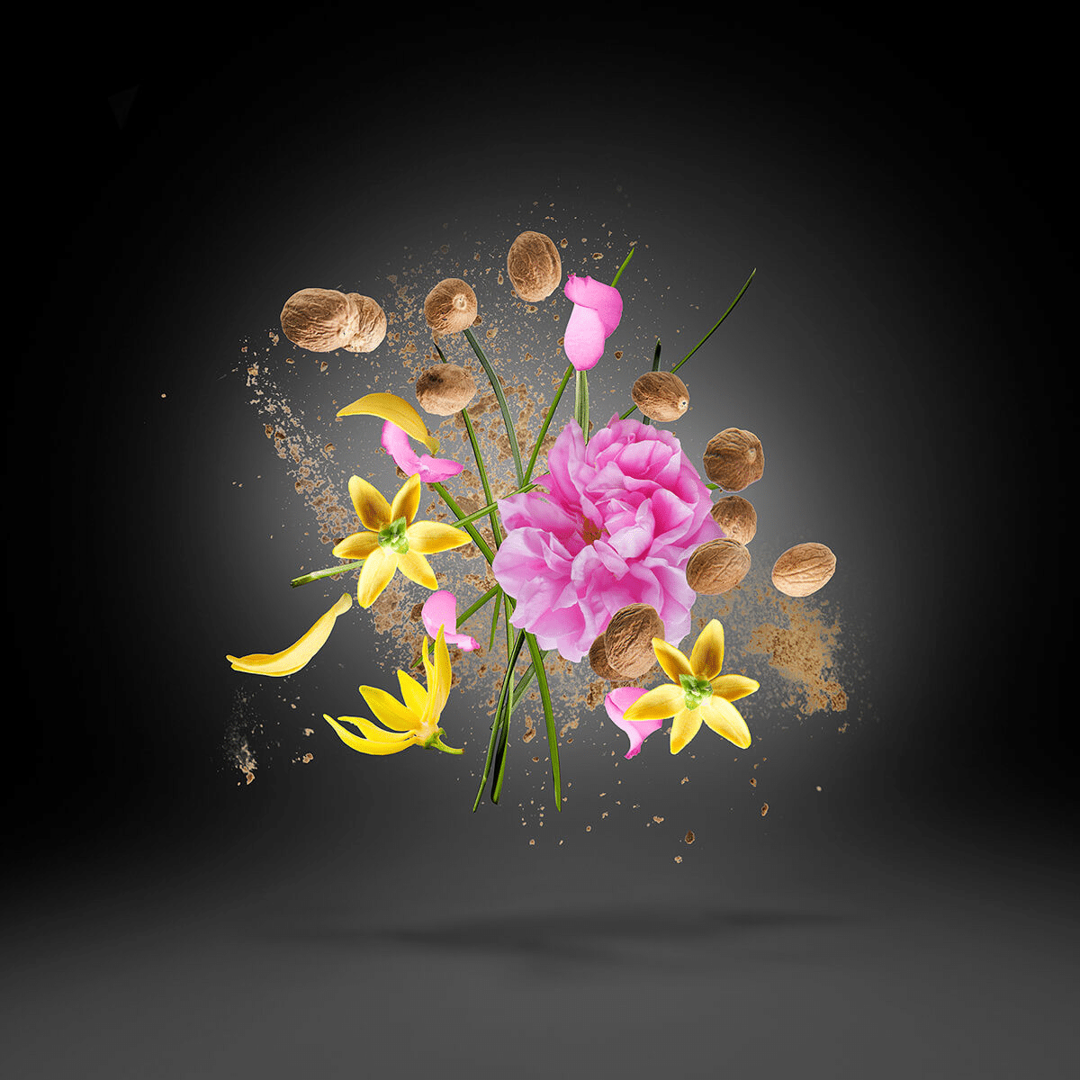 Xerjoff V-Opera Edp 100ml - Imagen 3